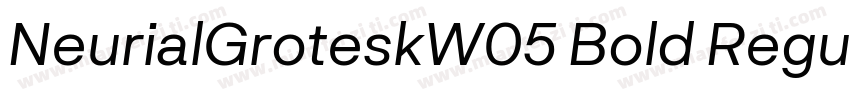 NeurialGroteskW05 Bold Regular字体转换